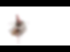 10mm Mini Permanent Magnet Stepper Motor 5v 2 Phase 18 Grad