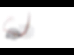 Hoher Fortschritts-Zweiphasenschrittmotor mit 35 Millimeter-Durchmesser-und 15 Grad-Schritt-Winkel